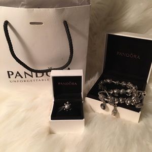 ♥️SOLD ♥️Retired Turtle Charm